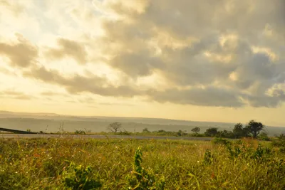 DSC_4348 (Large).JPG